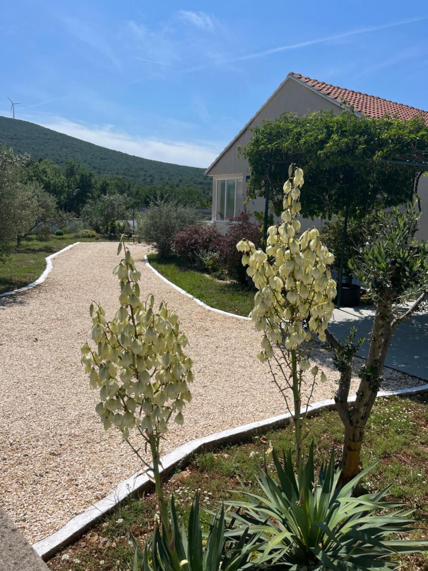 Mediterranean Olive Waterfallskrka-Croatia Villa Gulin Eksteriør billede